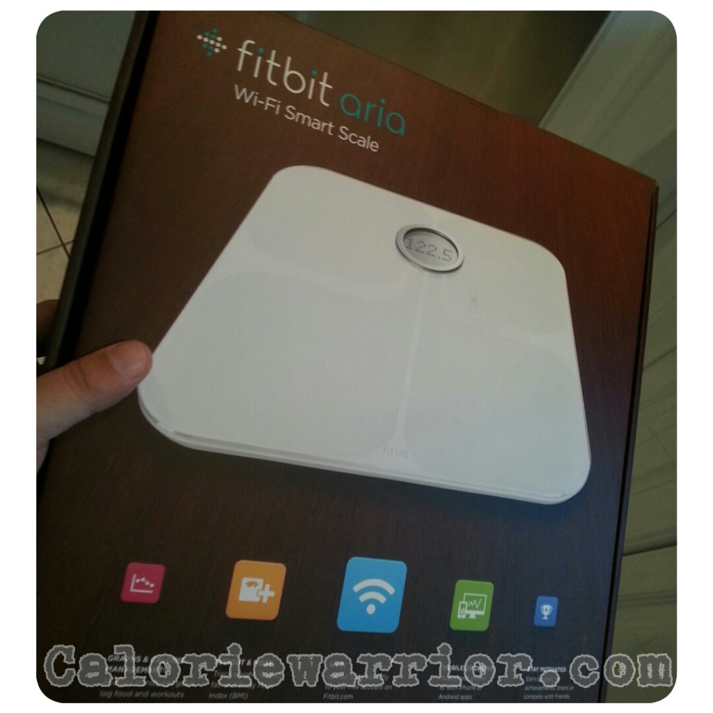 Get to Know Fitbit Aria 2: Fitbit's Most Advanced Wi-Fi Smart Scale with  Improved Accuracy