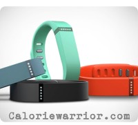 Fitbit Flex