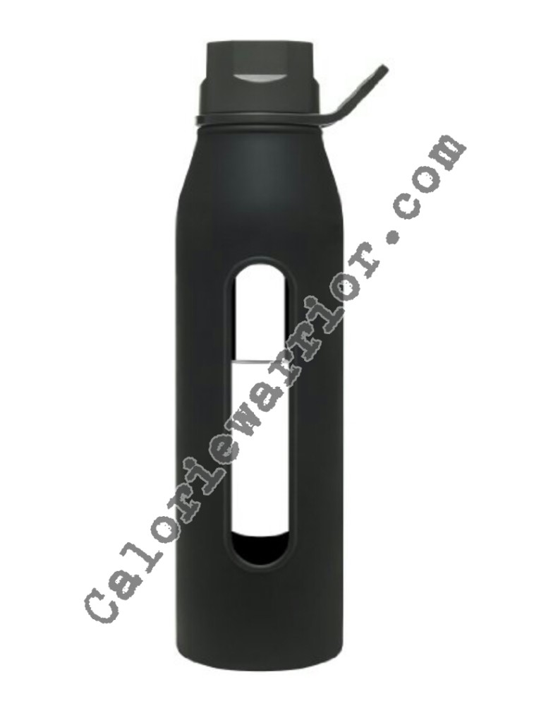 Takeya Glass Water Bottle 